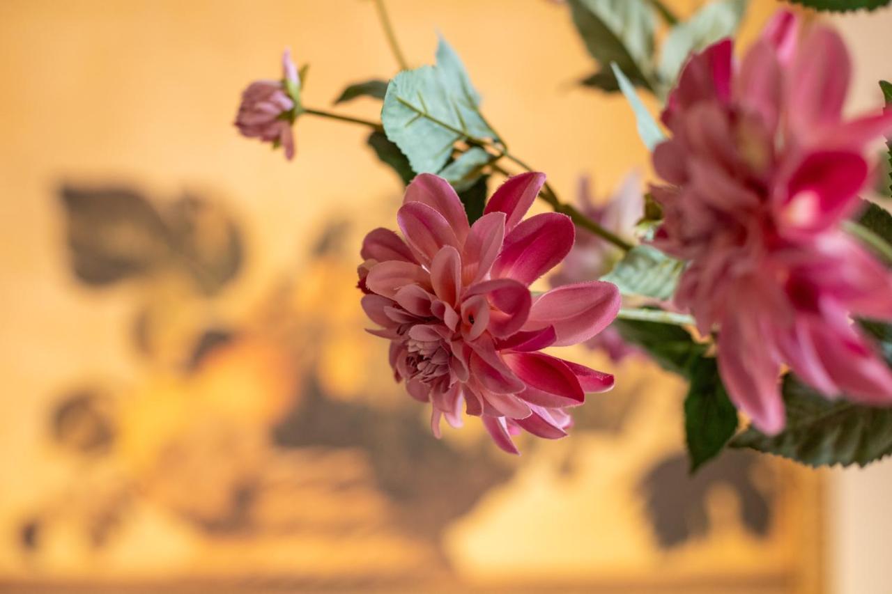 Vacanze Al Mare Patrizia'S Sweet Home Terme Vigliatore Luaran gambar